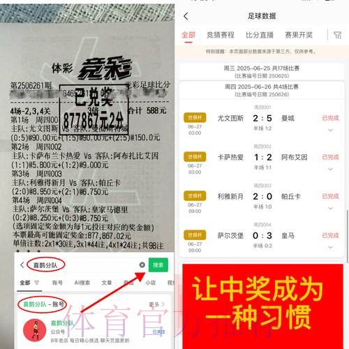 “权威解读：世界杯竞猜平台的优势与风险”